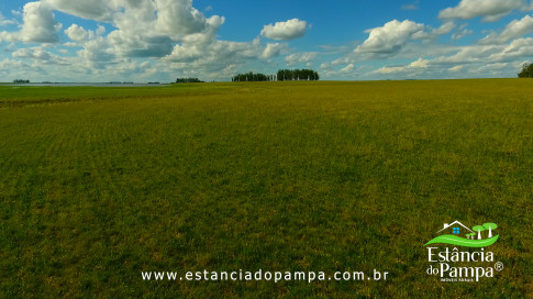 DOS EÓLICOS VIRA P FAZENDA_Moment.00_00_27_04.Quadro165_6ee214d26b328f946f7c09196e9f5515f47696a0.jpg